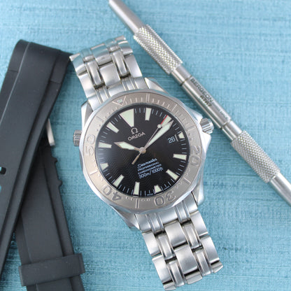 Omega Seamaster Professional 300m 2006